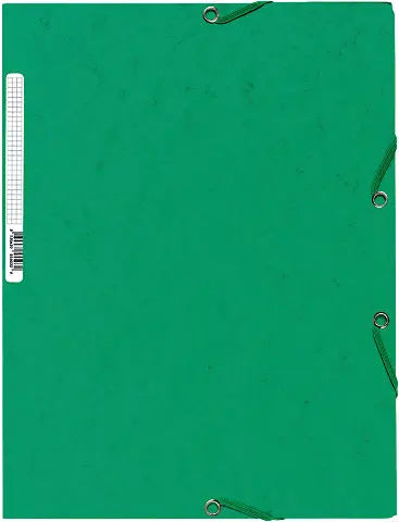 EXACOMPTA Gummibandmappe A4 55503E grün Idealshop