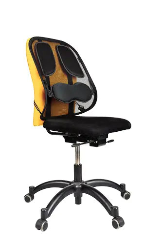 FELLOWES Rückenstütze Professional 8029901 Rückenstütze Idealshop