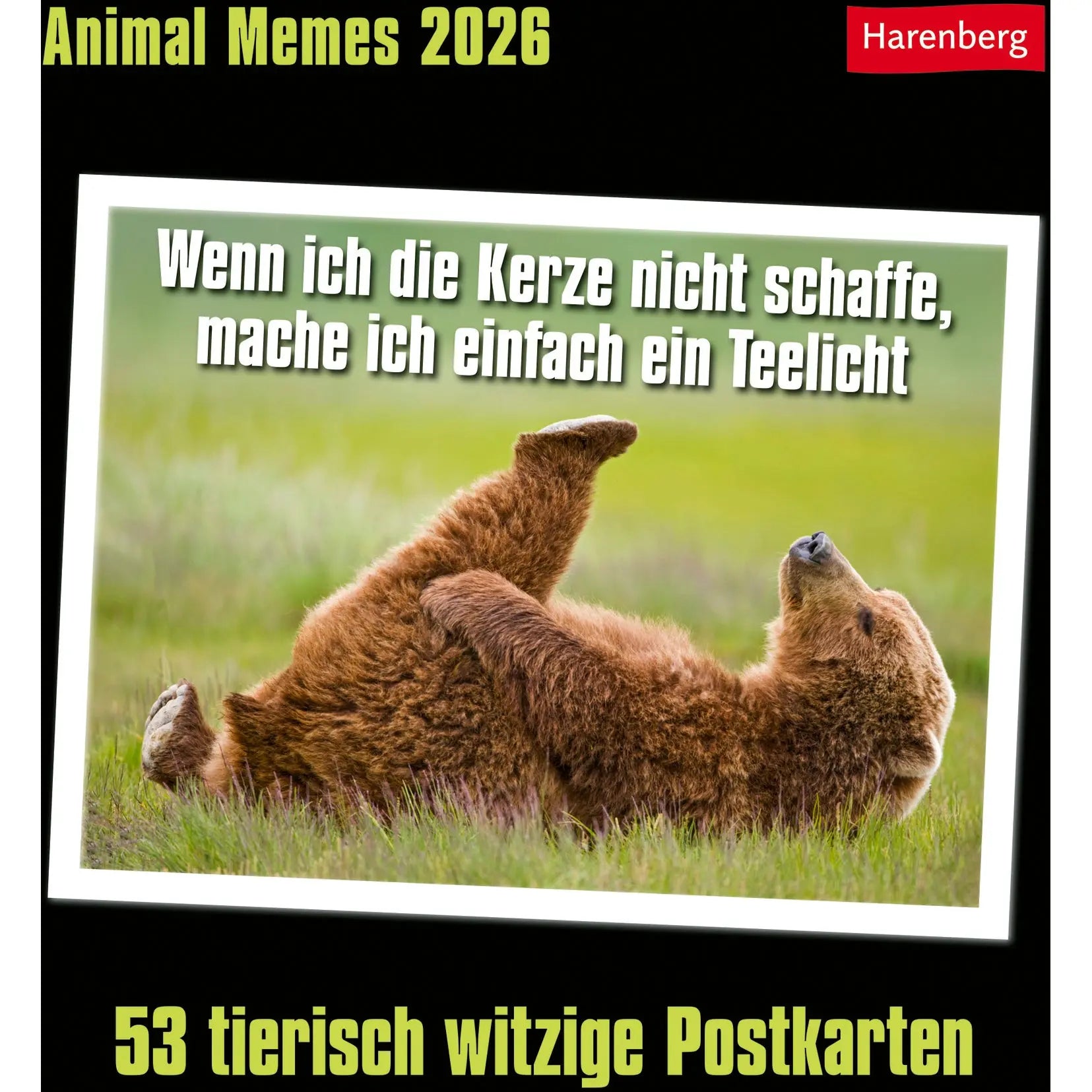HARENBERG Postkartenkalender 2026 3310183+26 Animal Memes 16x17.5cm Idealshop