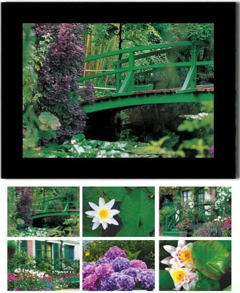 HASCHEMI Doppelkarten-Box 118 118 MONETS GARTEN Idealshop
