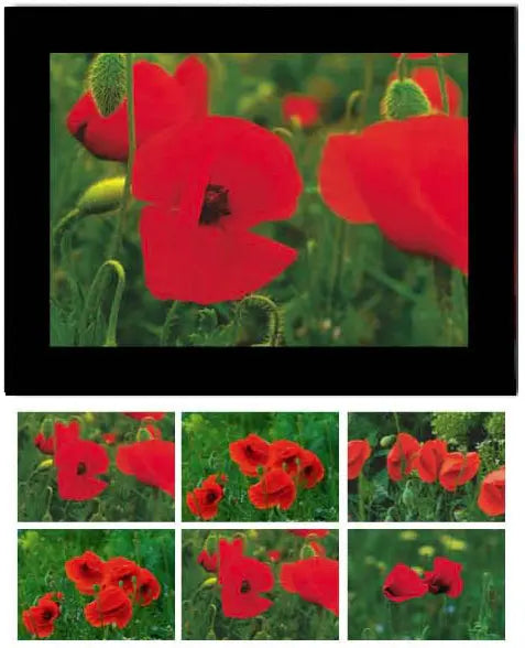 HASCHEMI Doppelkarten-Box 818 818 MOHNBLUMEN Idealshop