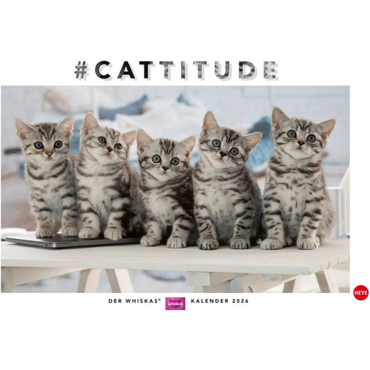 HEYE Bildkalender 2026 1130+26 Whiskas Katzen DE 45x30cm Idealshop