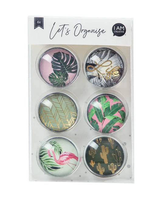 I AM CREATIVE Magnet Natur Let`s Organize 4035.61 Glas, 3x1cm 6 Stück Idealshop