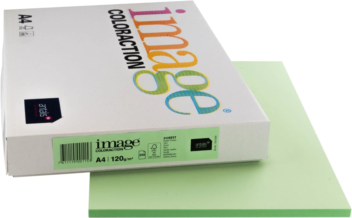 IMAGE COLORACTION Kopierpapier Forest A4 266689 120g, grün 250 Blatt Idealshop