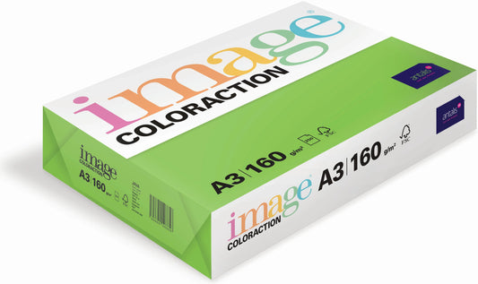 IMAGE COLORACTION Kopierpapier Java A3 285160 160g, maigrün 250 Blatt Idealshop