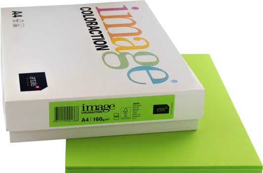 IMAGE COLORACTION Kopierpapier Java A4 266767 maigrün, 160g 250 Blatt Idealshop