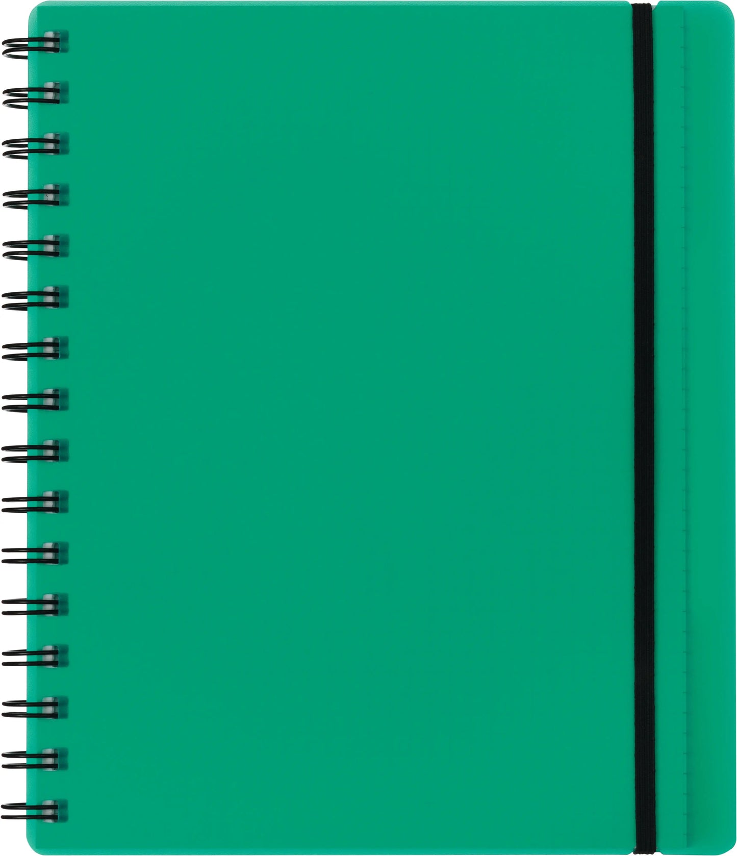 KOLMA Notizbuch Easy KolmaFlex A5 06.551.01 grün, kariert 5mm 100 Bl. Idealshop