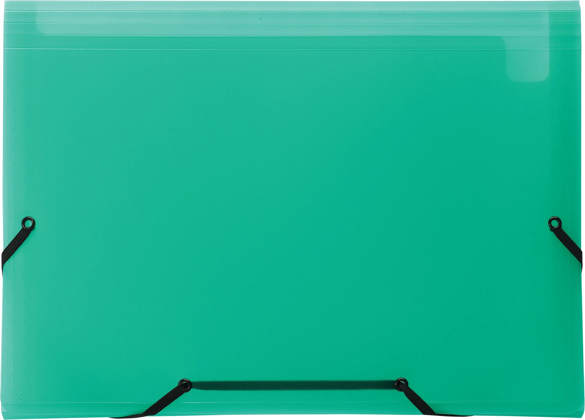 KOLMA Sammelmappe Daily Easy A4 11.017.01 grün, 13 Taschen, Kolmaflex Idealshop
