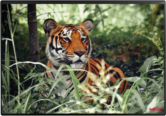 KOLMA Schreibunterlage 50x34cm 35.573.20 Tiger Idealshop
