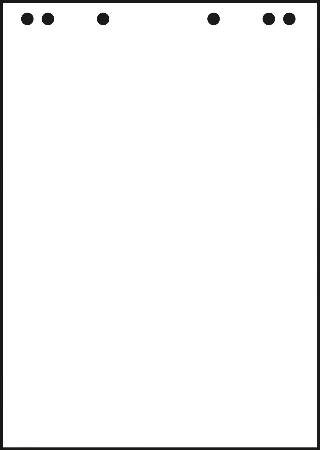 LANDRE    Flipchartblöcke blanko   20 Bl Idealshop