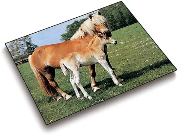 LÄUFER Schreibunterlage 46587 Pferde 53x40cm Idealshop