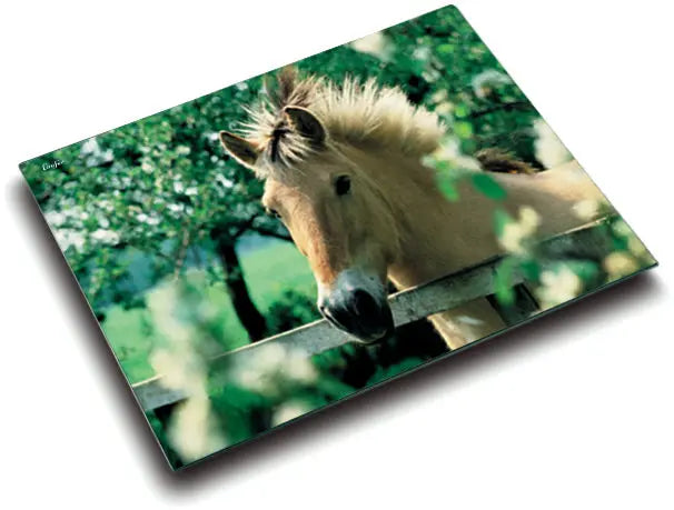 LÄUFER Schreibunterlage 46640 Pferd 53x40cm Idealshop