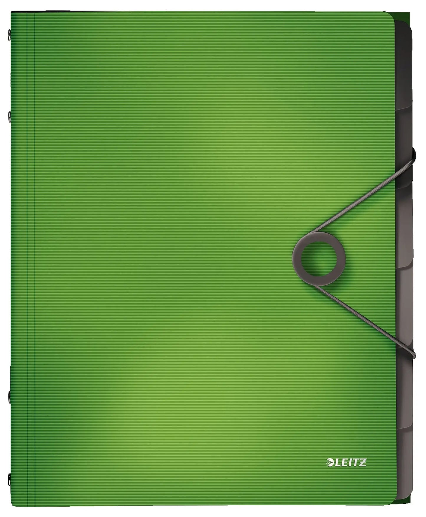 LEITZ Ordnungsmappe Solid PP A4 45691050 hellgrün 6 Fächer Idealshop
