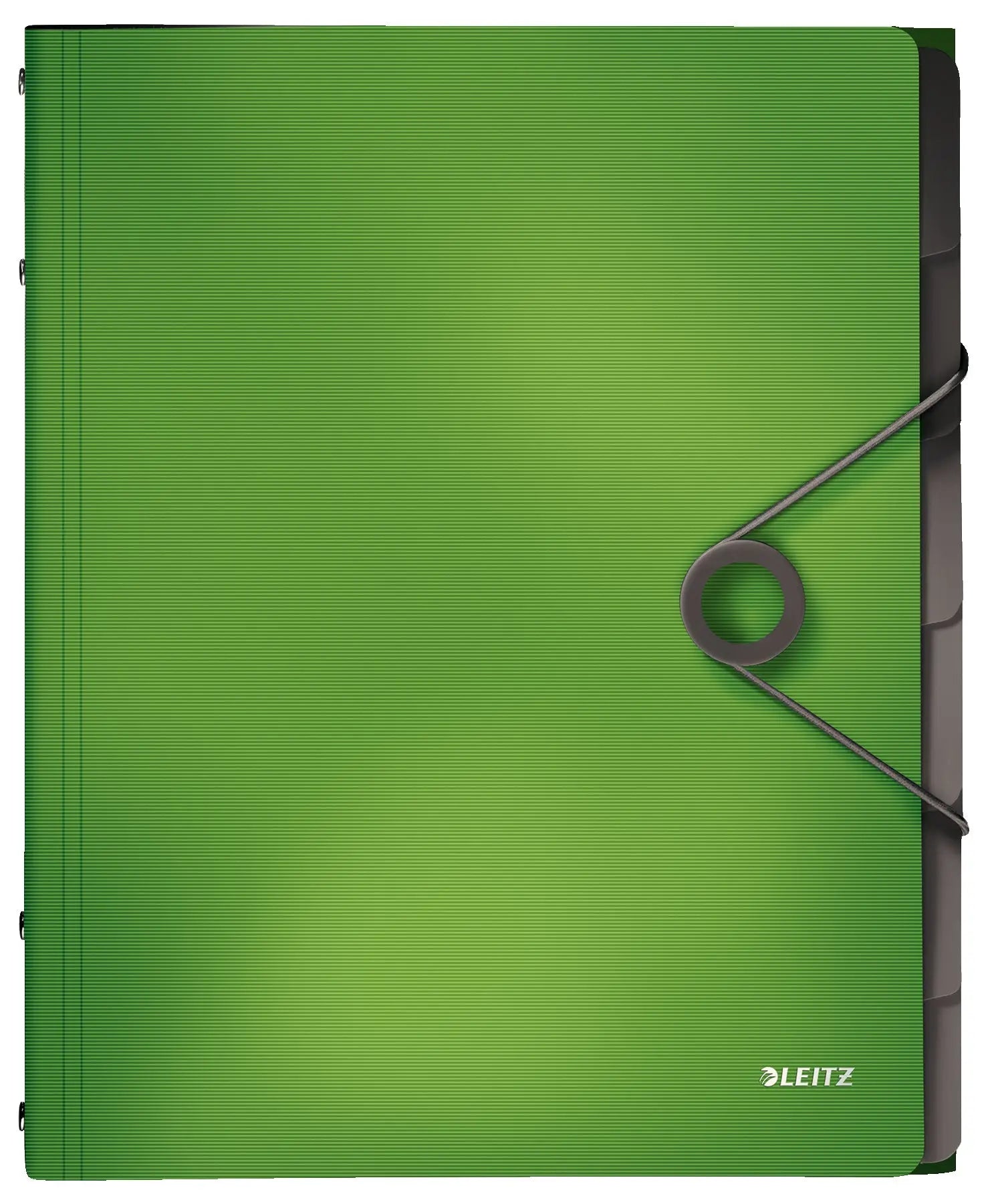 LEITZ Ordnungsmappe Solid PP A4 45691050 hellgrün 6 Fächer Idealshop