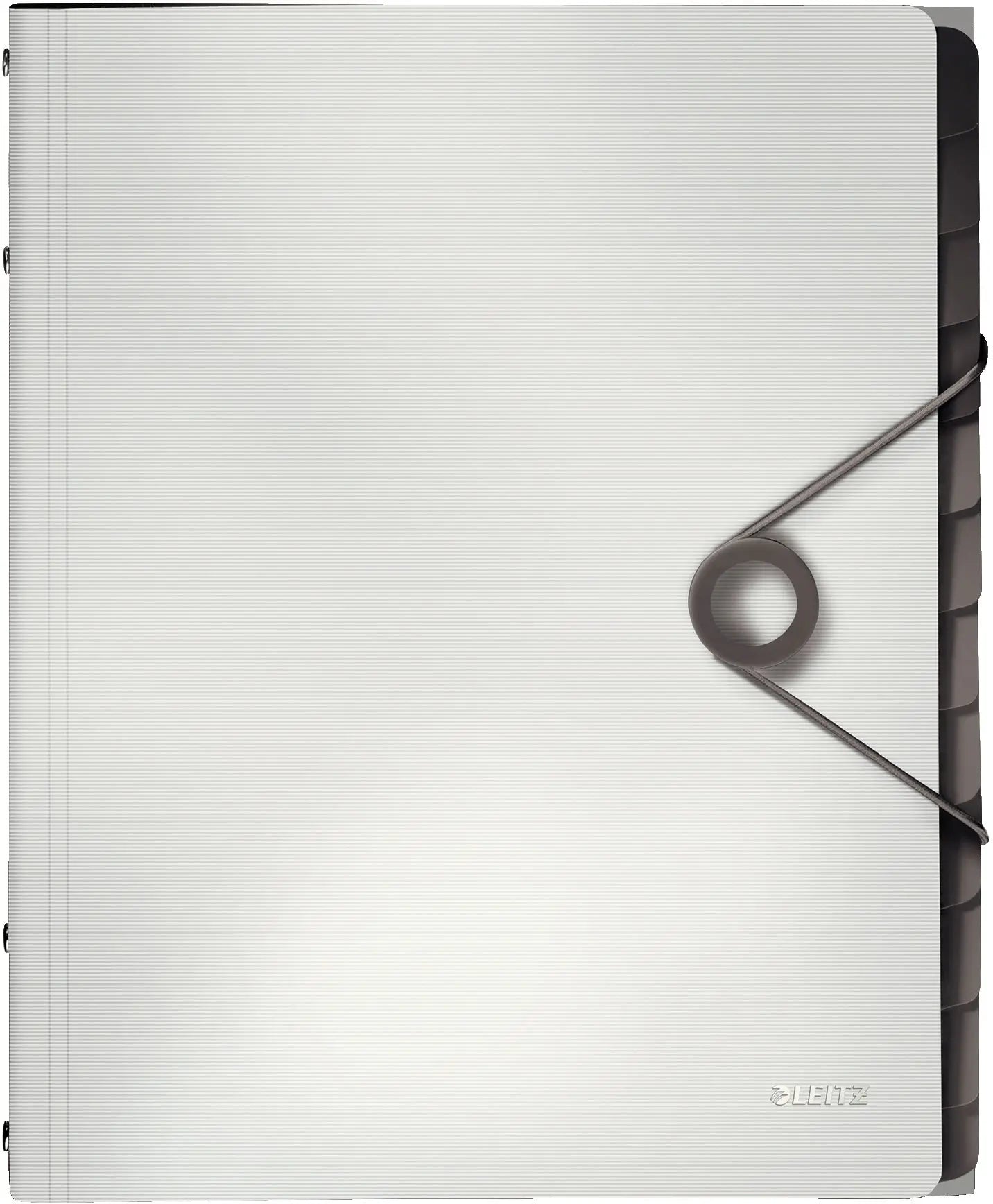 LEITZ Ordnungsmappe Solid PP A4 45701001 weiss 12 Fächer Idealshop