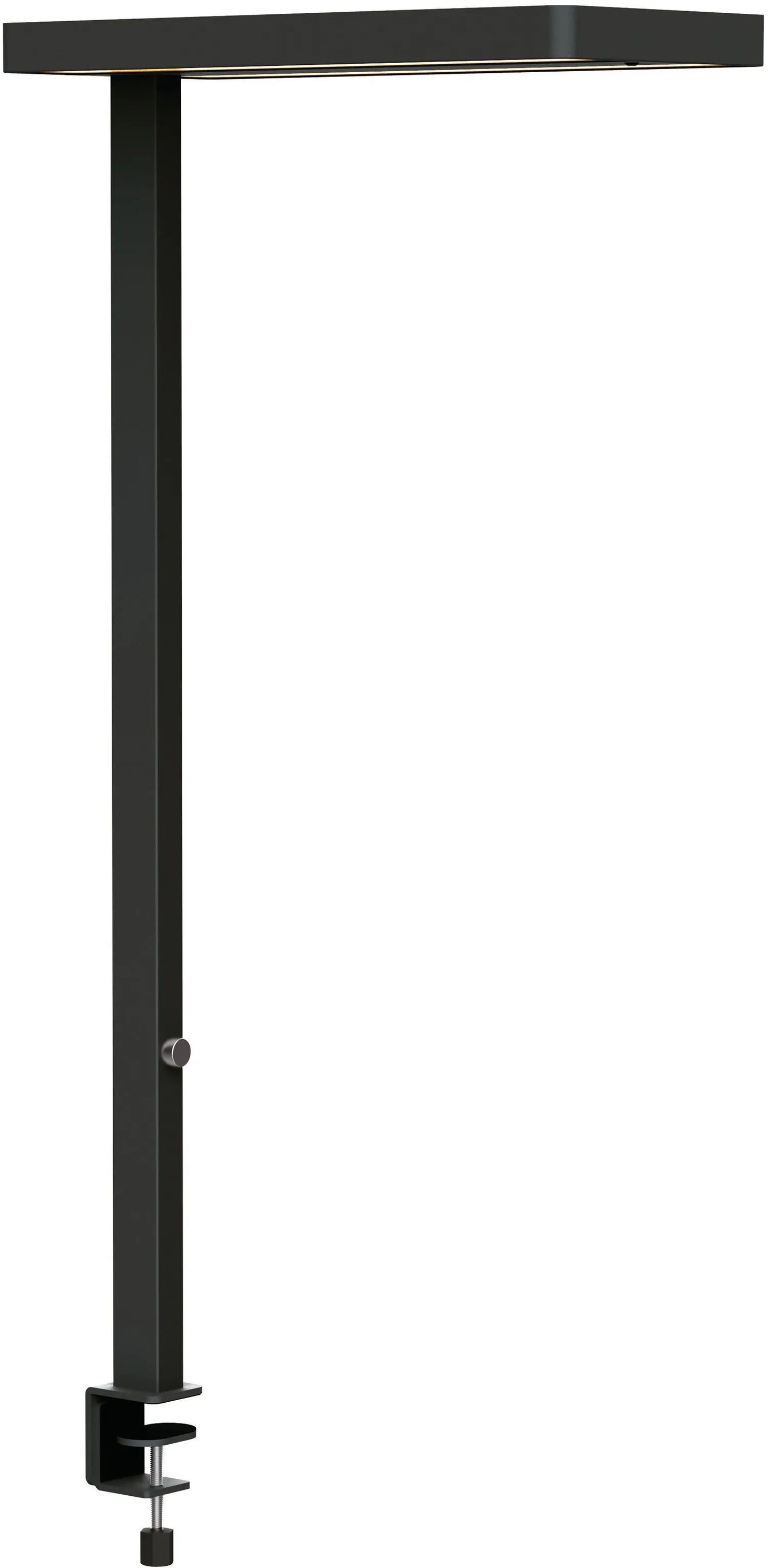 MAUL      LED-Tischleuchte MAULjuvis Idealshop