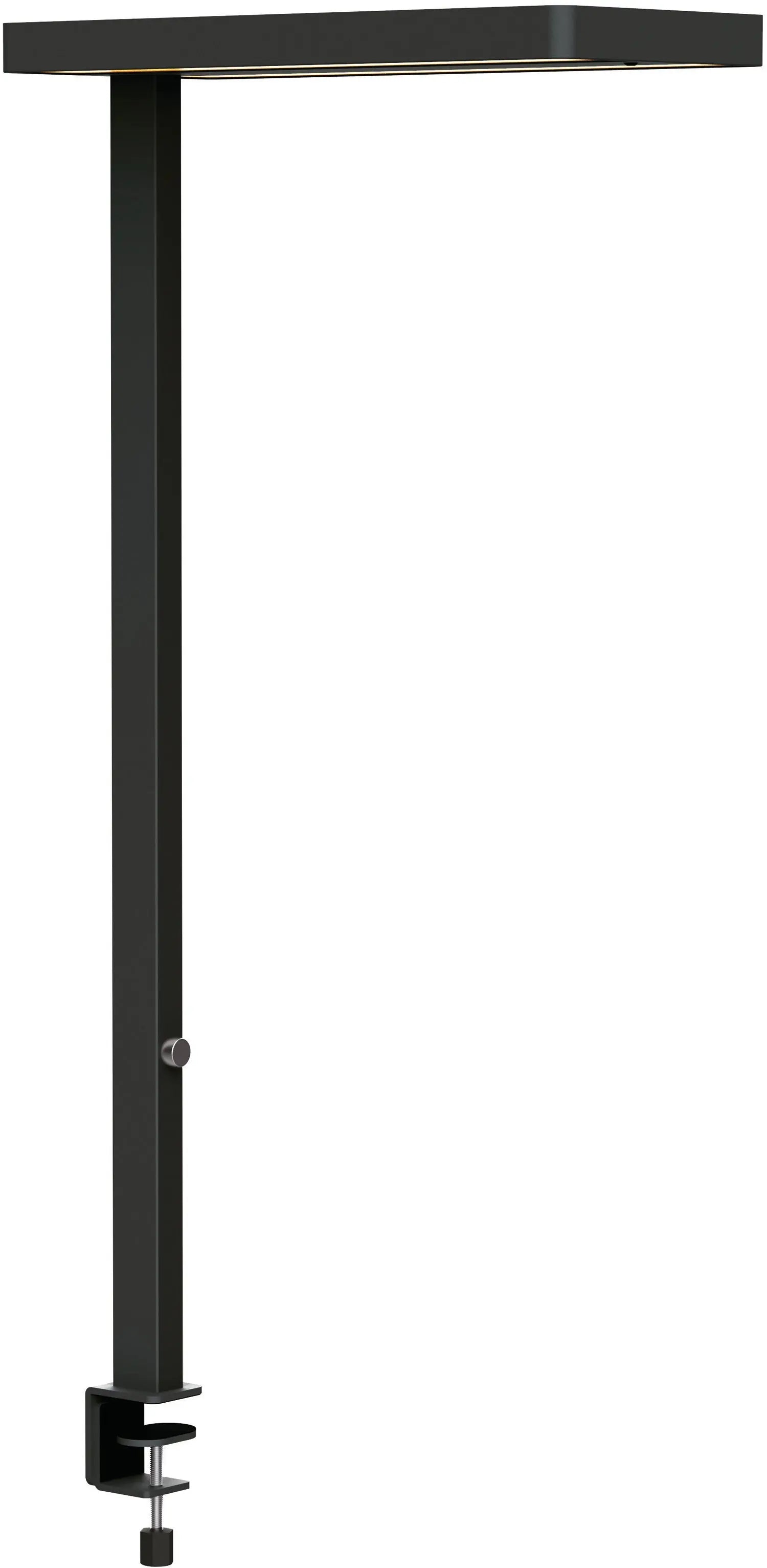 MAUL      LED-Tischleuchte MAULjuvis Idealshop