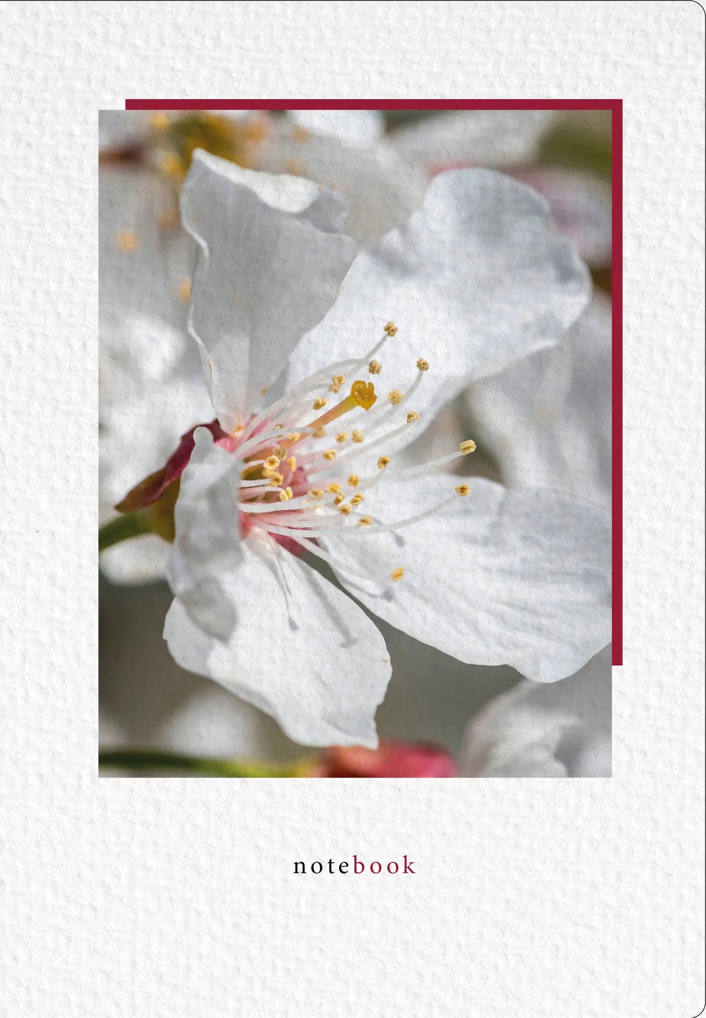 NATUR VERLAG Notizbuch Crushpaper A5 11006N Kirsche Foto, dotted Idealshop