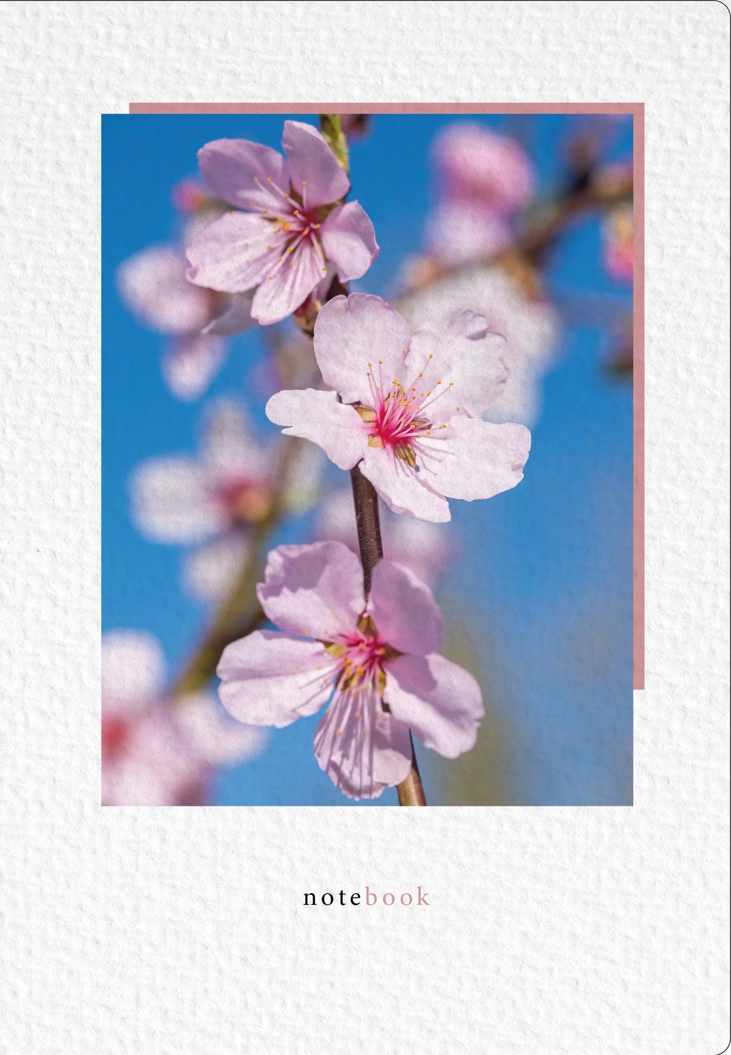 NATUR VERLAG Notizbuch Crushpaper A5 11018N Mandel Foto, dotted Idealshop