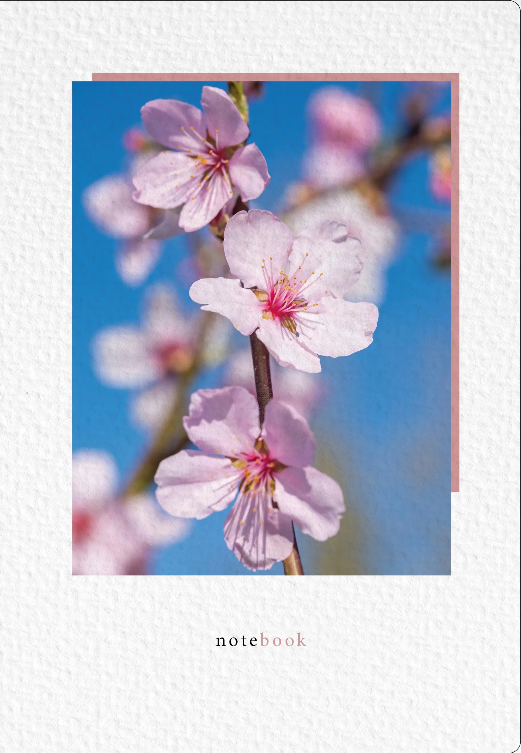 NATUR VERLAG Notizbuch Crushpaper A5 11018N Mandel Foto, dotted Idealshop