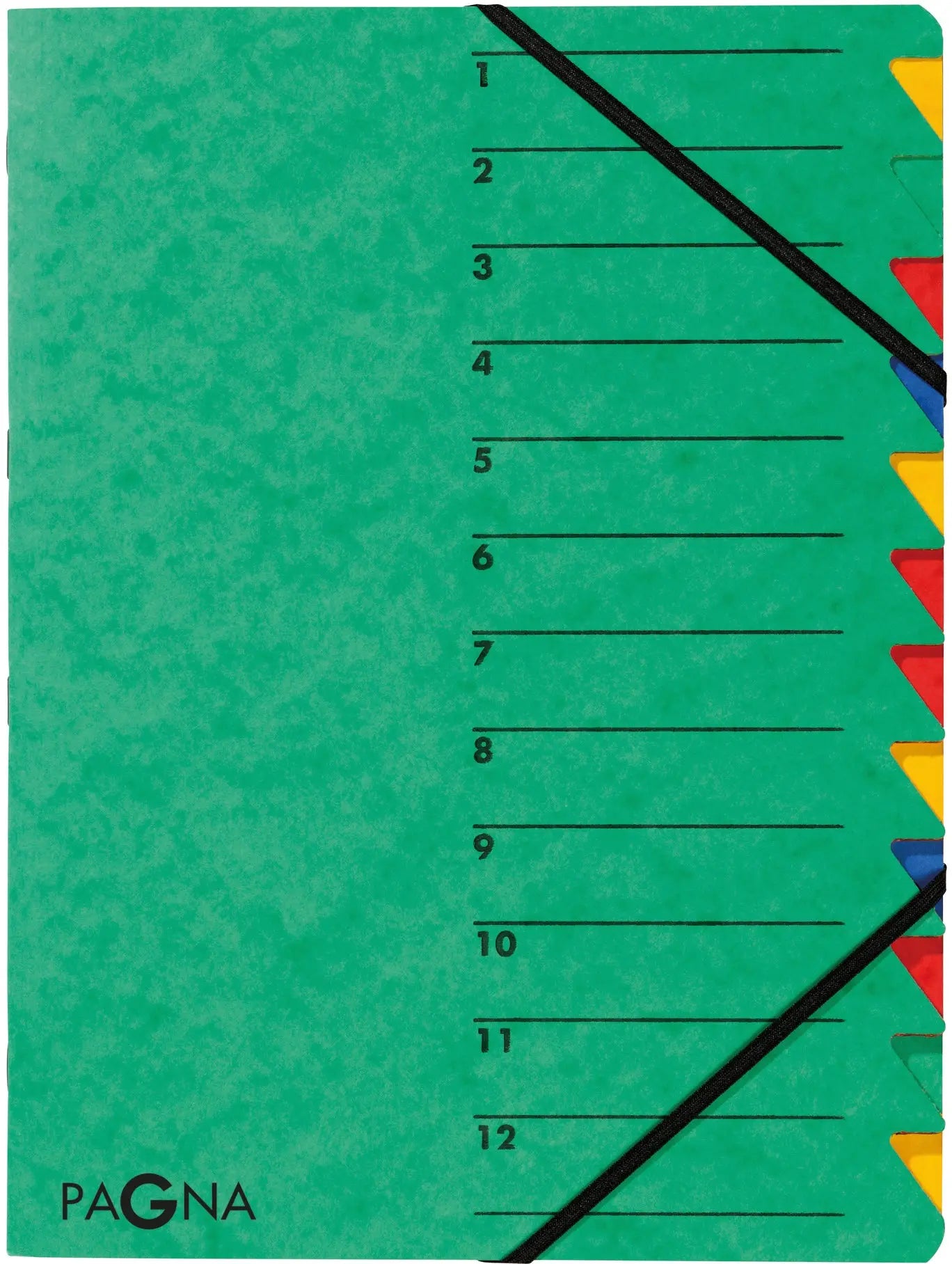 PAGNA Fächermappe EASY A4 24131-03 grün 12 Fächer Idealshop
