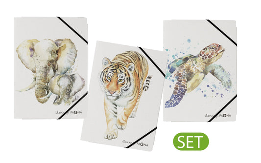 PAGNA     Gummizugmappe Set 3 Save me A4 Idealshop