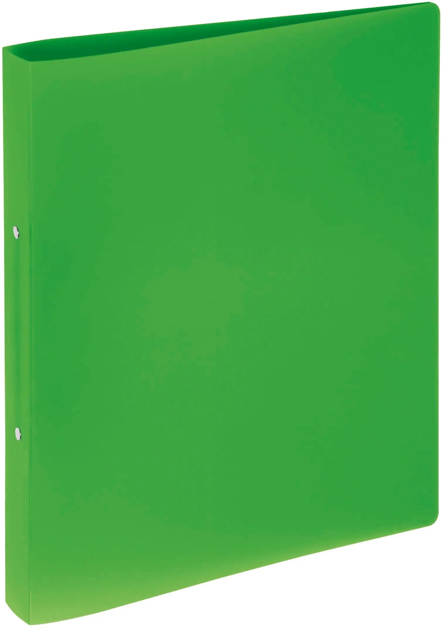 PAGNA Ringbuch 33mm A4 20900-05 grün PP 2-Ring-Mechanik Idealshop