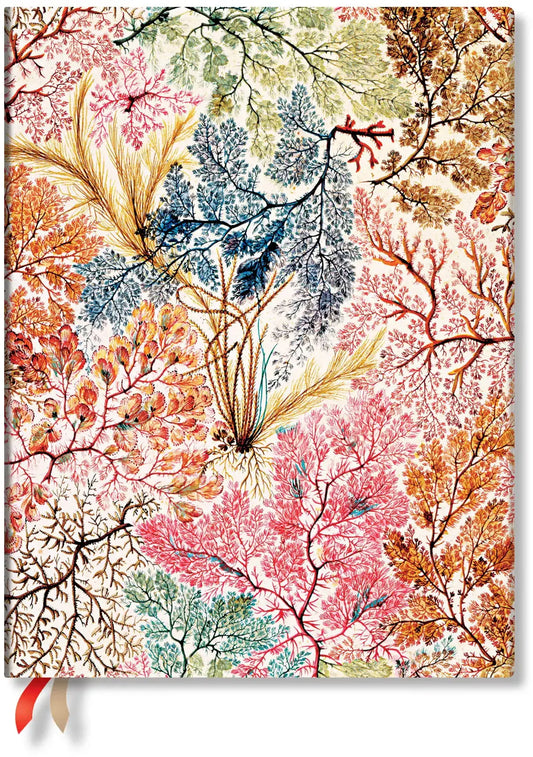 PAPERBLANKS Agenda Anemone 2026 FD0699-3 1W/2S VER Ultra SC DE 18x23cm Idealshop