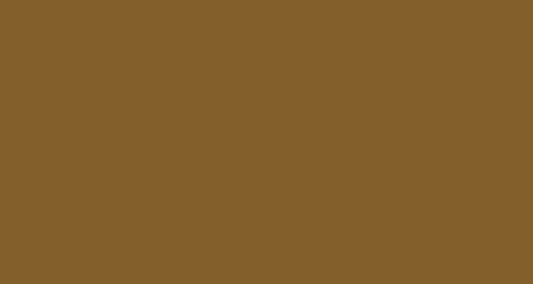 PAPYRUS Tonzeichenpapier A4 88020079 130g, braun 100 Blatt Idealshop
