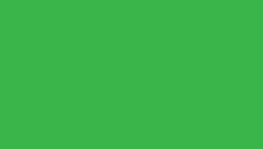 PAPYRUS Tonzeichen Sihl 130g A3 88020084 grün 100 Blatt Idealshop