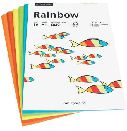 PAPYRUS Rainbow Mixpack 88043188 intensiv, 80g 100 Blatt Idealshop