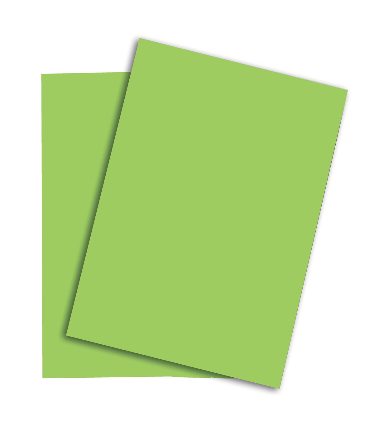 PAPYRUS Rainbow Papier FSC A3 88042660 160g, grün 250 Blatt Idealshop