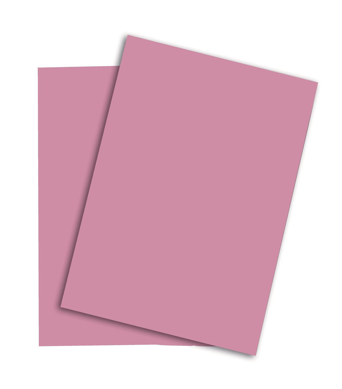 PAPYRUS Rainbow Papier FSC A4 88043107 120g, rosa 250 Blatt Idealshop