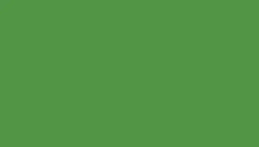 PAPYRUS Tonzeichenpapier A4 88020059 130g, hellgrün 100 Blatt Idealshop