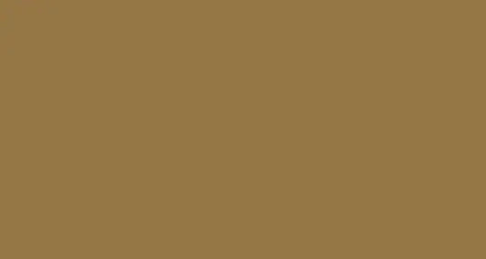 PAPYRUS Tonzeichenpapier A4 88020060 130g, hellbraun 100 Blatt Idealshop