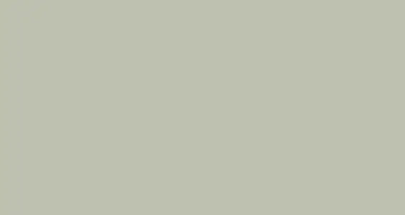 PAPYRUS Tonzeichenpapier A4 88020061 130g, silbergrau 100 Blatt Idealshop