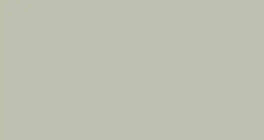 PAPYRUS Tonzeichenpapier A4 88020061 130g, silbergrau 100 Blatt Idealshop