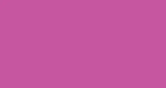 PAPYRUS Tonzeichenpapier A4 88020066 130g, eosin 100 Blatt Idealshop