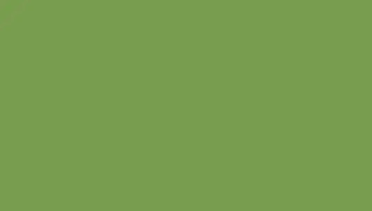 PAPYRUS Tonzeichenpapier A4 88020070 130g, maigrün 100 Blatt Idealshop