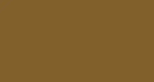 PAPYRUS Tonzeichenpapier A4 88020079 130g, braun 100 Blatt Idealshop