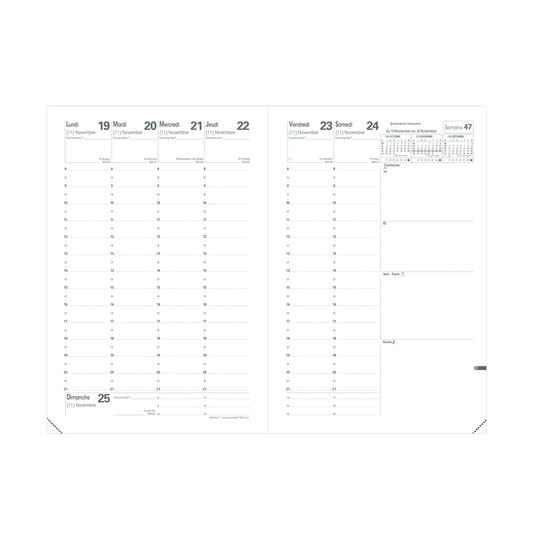 QUO-VADIS Ersatzinhalt+ Ministre 2026 015017Q 1W/2S Impala/Club FR 16x24cm Idealshop