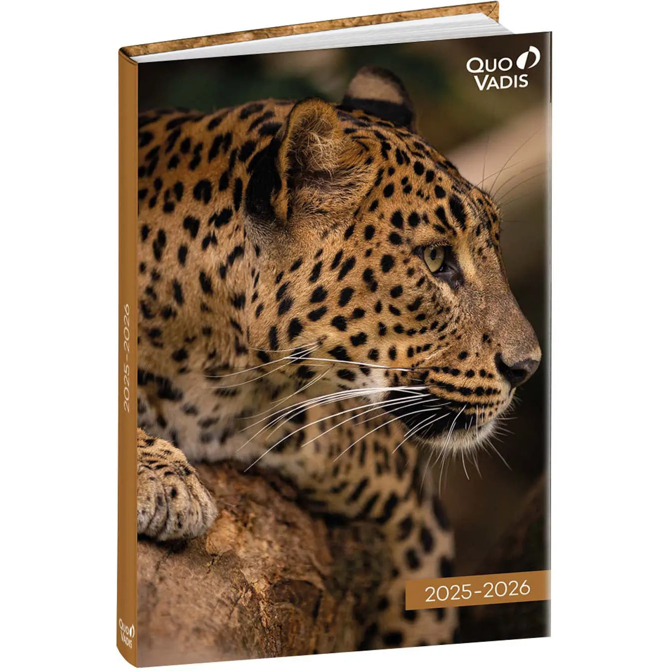QUO-VADIS Eurotextagenda Leopard   25/26 Idealshop