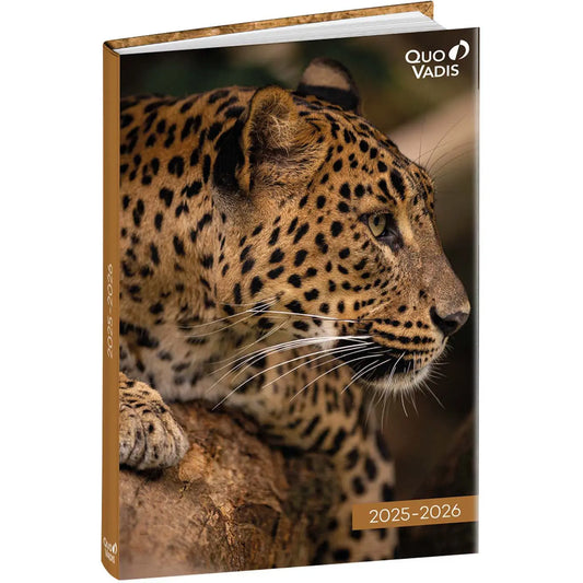 QUO-VADIS Eurotextagenda Leopard   25/26 Idealshop