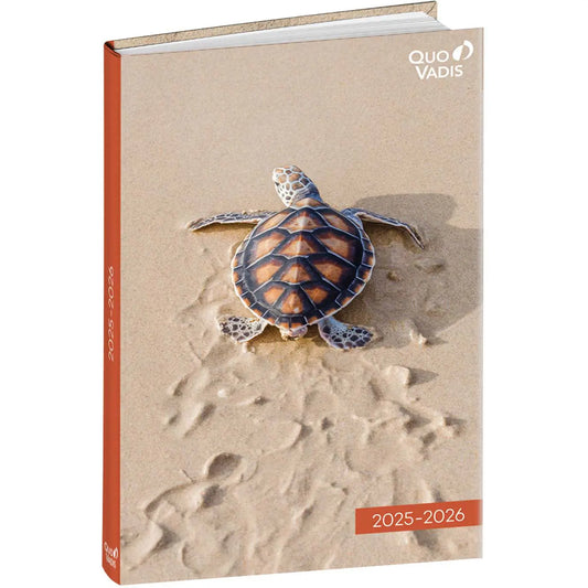 QUO-VADIS Eurotextagenda Schildkr. 25/26 Idealshop