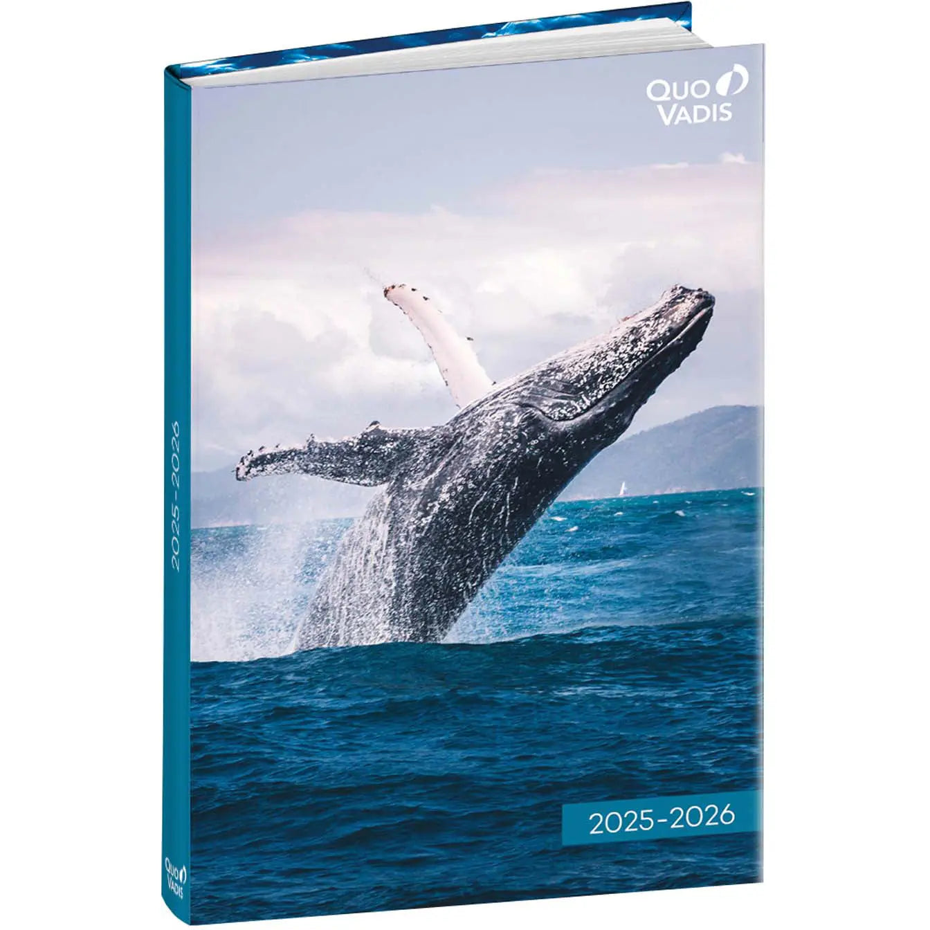 QUO-VADIS Eurotextagenda Walfisch  25/26 Idealshop