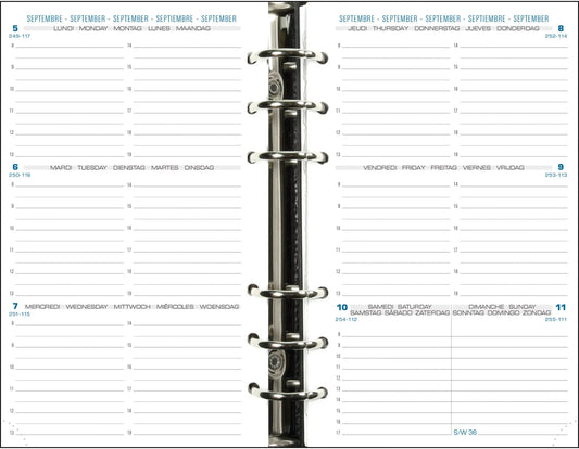 QUO-VADIS Exatime 17 Inhalt 26/27 18240E 1W/2S 16M ML 9x17cm Idealshop