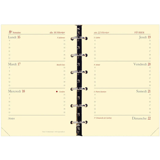 QUO-VADIS Timer14 Horizontal       24/25 Idealshop
