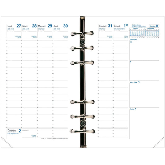 QUO-VADIS Timer17 Planing          24/25 Idealshop