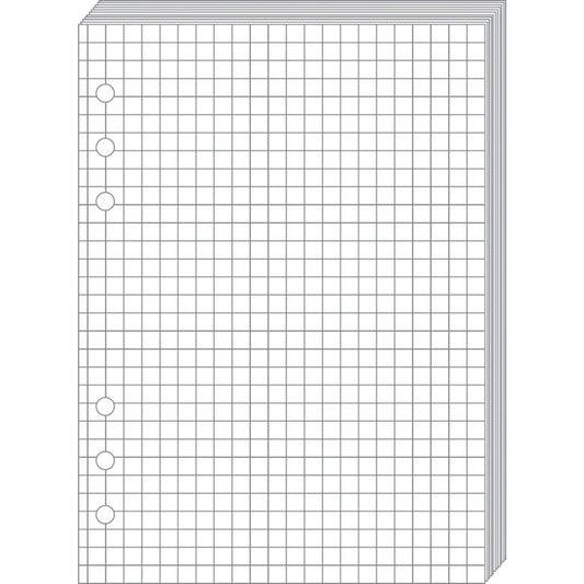 QUO-VADIS Timer21 Planing Notizen 722001Q kariert 15x21cm Idealshop