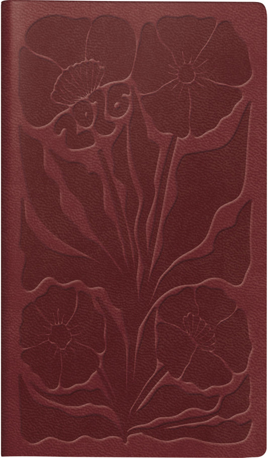 RIDOIDE TA International 2026 7016915026.26 1W/2S dunkelrot ML 8.7x15.3cm Idealshop